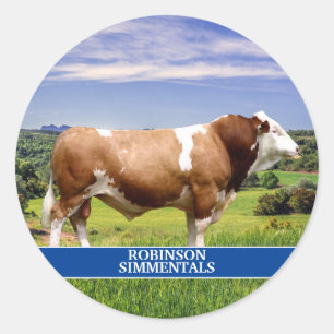 Adesivo Redondo Touro Simmental em Pastura 