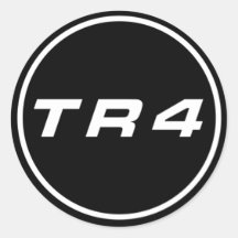 TR4 bordador ws