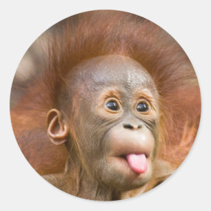 Adesivo Redondo Trabalhos sujos 2