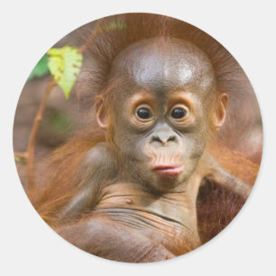 Adesivo Redondo Trabalhos sujos 3