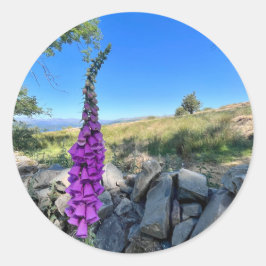 Adesivo Redondo Tranquilidade do campo inglês