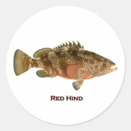 Adesivo Redondo Traseiro vermelho