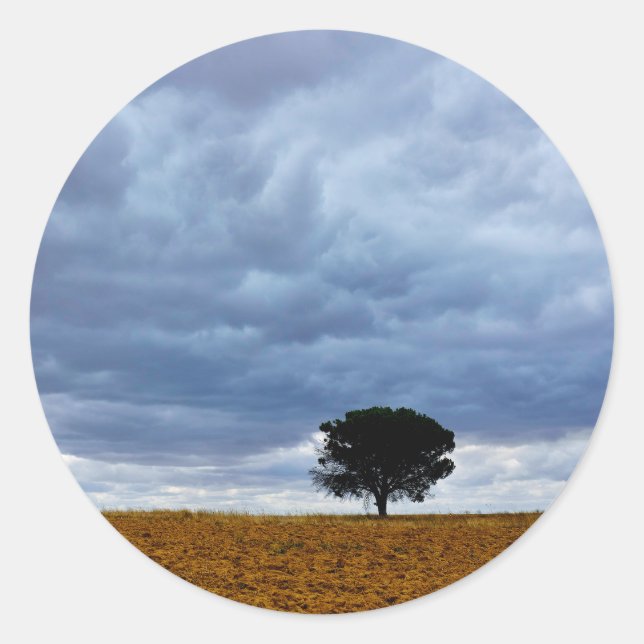 Adesivo Redondo Tree in an empty field (Frente)