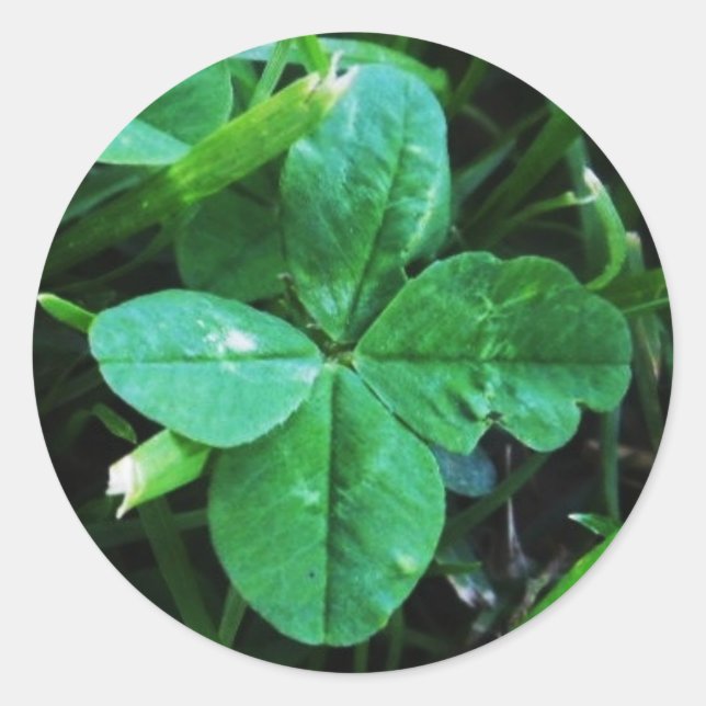 Adesivo Redondo Trèfle à quatre feuilles Sticker (Frente)