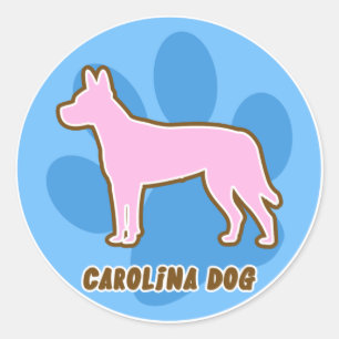 Adesivo Redondo Trendy Carolina Dog Stickers