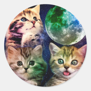 Adesivo Redondo Três gatos e a lua