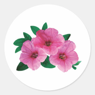 Adesivo Redondo Três petúnias cor-de-rosa