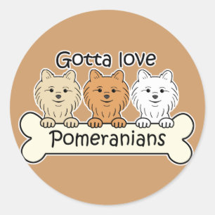 Adesivo Redondo Três Pomeranians