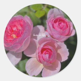 Adesivo Redondo Três Rosas Pink Bonitas