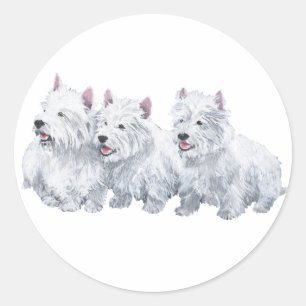 Adesivo Redondo Três West Highland White Terriers