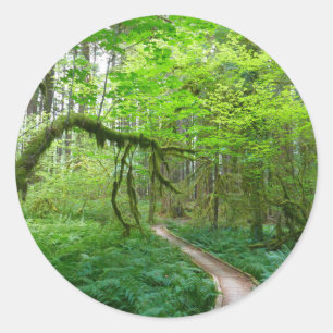 Adesivo Redondo Trilha Ancient Groves no Parque Nacional Olímpico