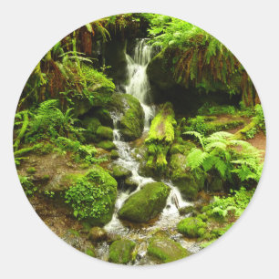 Adesivo Redondo Trillium Falls no Parque Nacional de Redwood