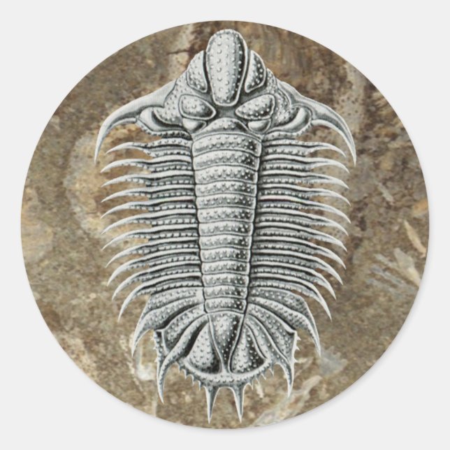 Adesivo Redondo Trilobite Sticker (Frente)