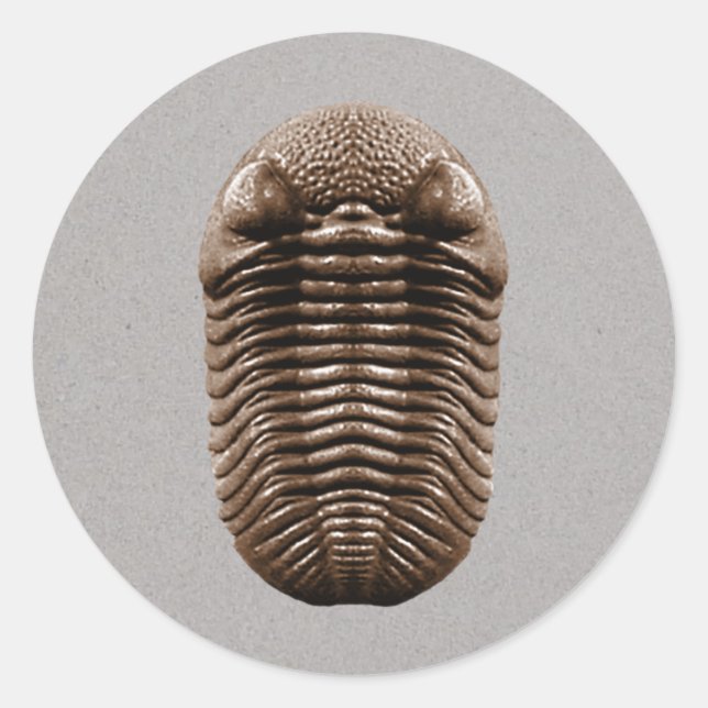 Adesivo Redondo Trilobite Sticker (Frente)
