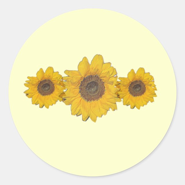 Adesivo Redondo trio de girassol (Frente)