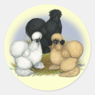 Adesivo Redondo Trio de Silkie