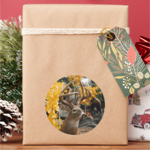 Adesivo Redondo Trophy Deer