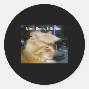 Adesivo Redondo Trump Cat Nine Vive Engraçado Trump 2024 Votação E