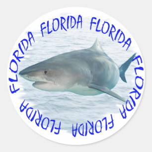 Adesivo Redondo Tubarão de Florida