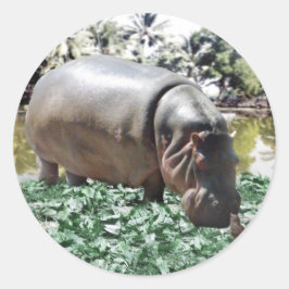 Adesivo Redondo Tudo bem que somos diferentes, podemos resolver