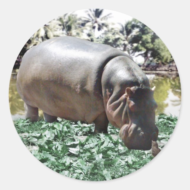 Adesivo Redondo Tudo bem que somos diferentes, podemos resolver (Frente)