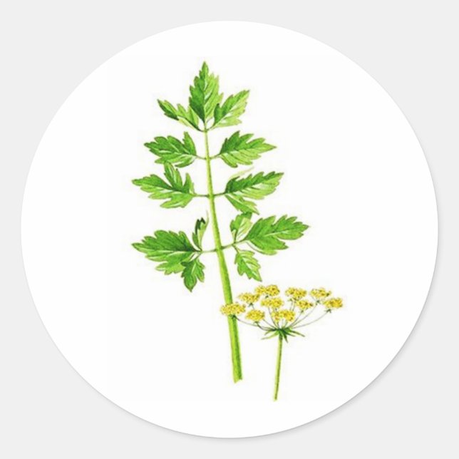 Adesivo Redondo Tudo que você precisa é Lovage (Frente)
