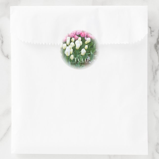 Adesivo Redondo Tulip (Bolsa)