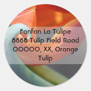 Adesivo Redondo tulipa laranja