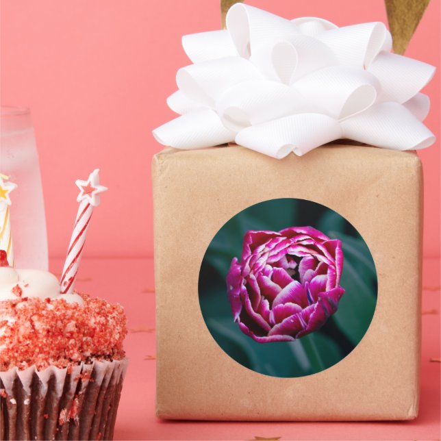 Adesivo Redondo tulipa rosa (Festa)