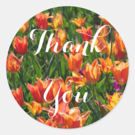 Adesivo Redondo Tulipas Laranja