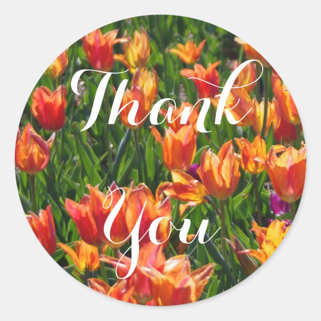 Adesivo Redondo Tulipas Laranja (Frente)