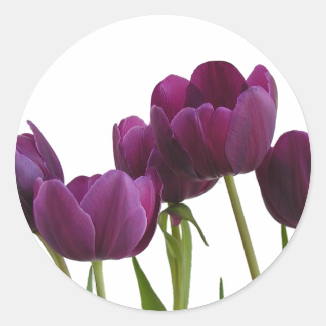 Adesivo Redondo Tulips Sticker (Frente)