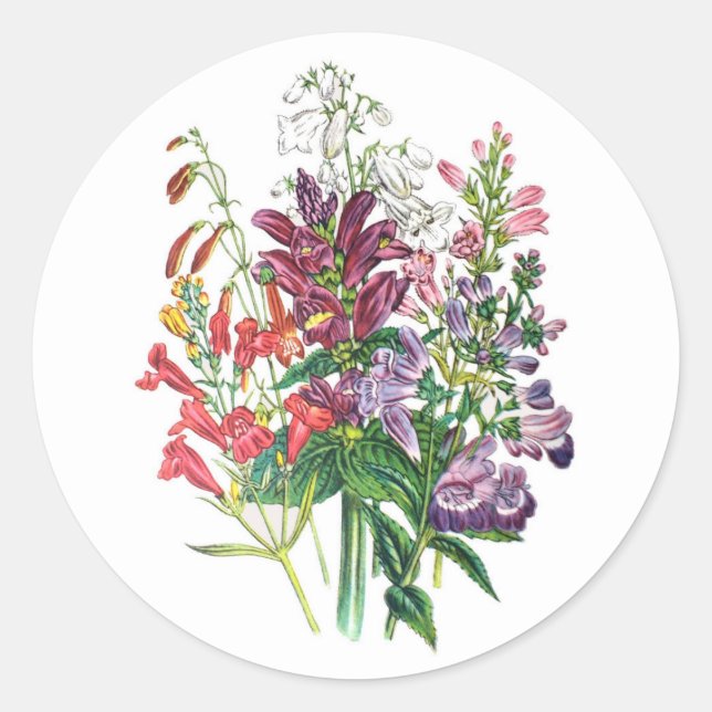 Adesivo Redondo Turfeiras e bangas (Frente)