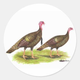 Adesivo Redondo Turquia: Bronze selvagem