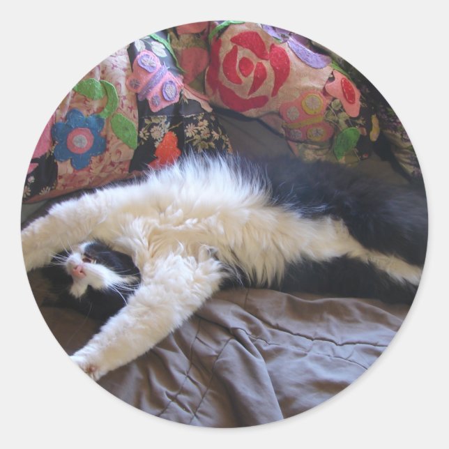 Adesivo Redondo Tuxedo Cat Cute doing a Mexican Wave Postcard (Frente)