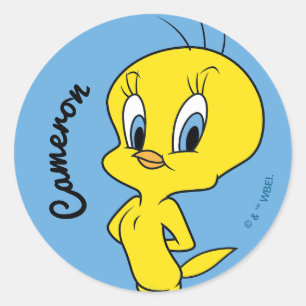 Adesivo Redondo TWEETY™   Pássaro Inteligente