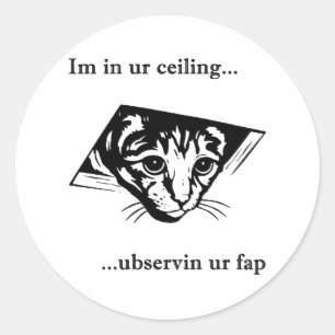 Adesivo Redondo Ubservin u do gato do teto…