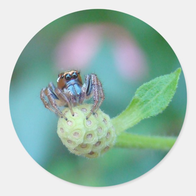 Adesivo Redondo Um Amigo para Jumping Jack! (Frente)