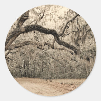 Adesivo Redondo Um Arco de Oakes