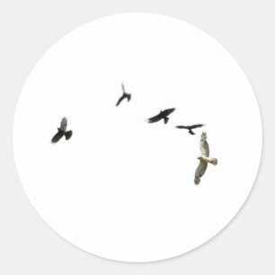 Adesivo Redondo Um assassinato dos corvos