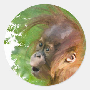 Adesivo Redondo Um bebê orangotango bonito olha em maravilha