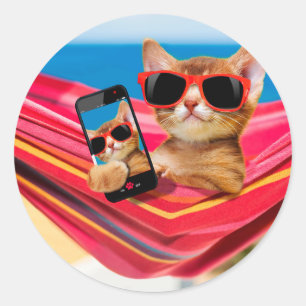 Adesivo Redondo Um gatinho bonito estava deitado numa rede
