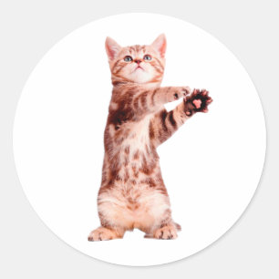 Adesivo Redondo Um gatinho brincalhão.
