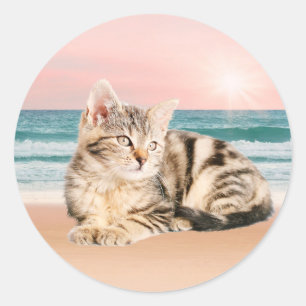 Adesivo Redondo Um gato listrado mais fofo sentado na praia com o