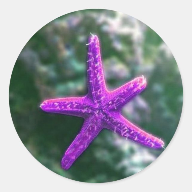 Adesivo Redondo Um Starfish Roxo (Frente)
