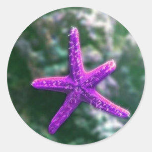 Adesivo Redondo Um Starfish Roxo