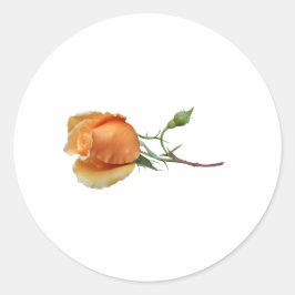 Adesivo Redondo Um único corte de rosa