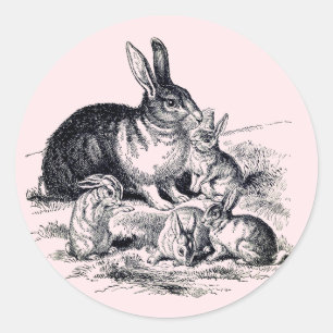 Adesivo Redondo Uma família de coelhos - ilustração da safra