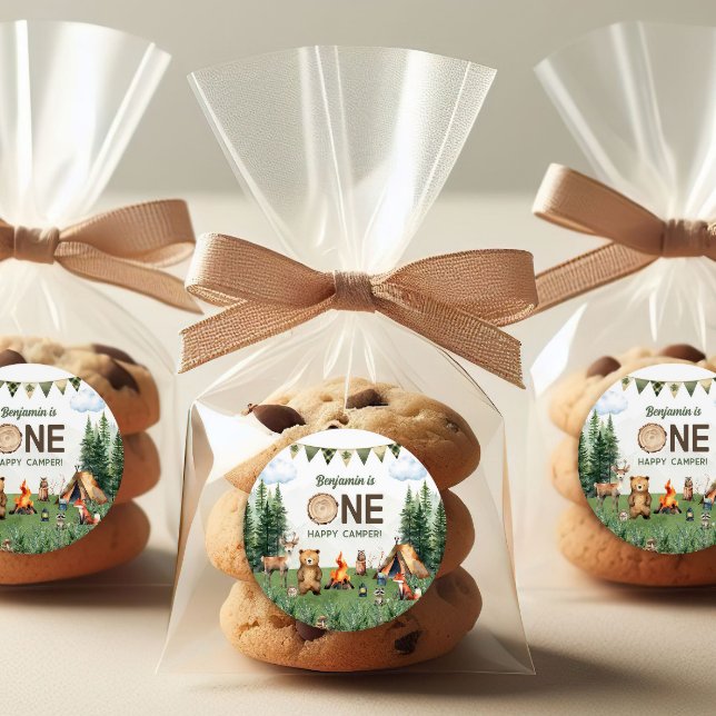 Adesivo Redondo Uma Festa de aniversário de campo feliz (One Happy Camper Birthday Party Classic Round Sticker
)