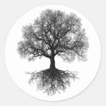 Uma Fonte | Design Árvore da Vida